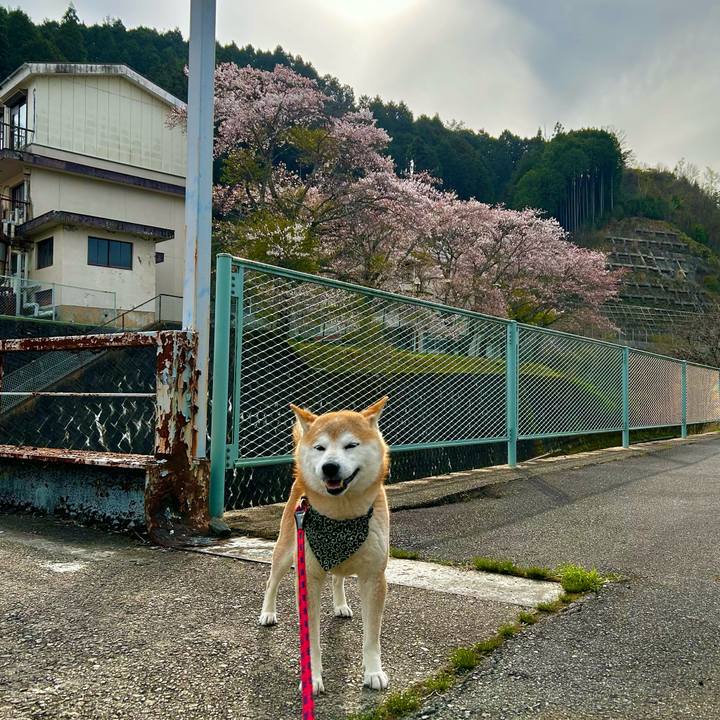 99c4d315 a834 4526 bf69 da020dad8725 1713263973844