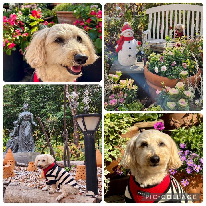 99c4f999 ad8f 4fb2 b23b ac3d5a6e4e40 1764652683932