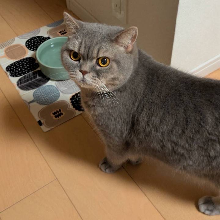 99c508ec 1757 40f2 a58e a5a19113ea52 1762847684350