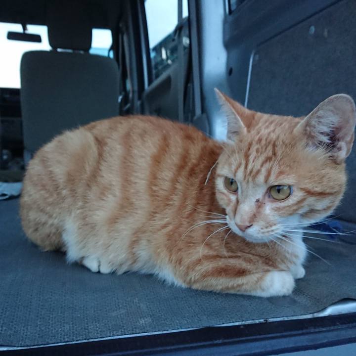 99c53643 140f 4a48 ae3b fde76d4bdde2 1562580301498