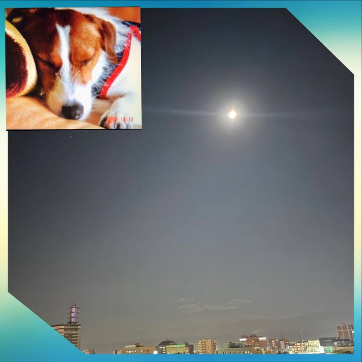 99c53917 91c0 4d6f bf6e 8e89825dad0b 1701081862992