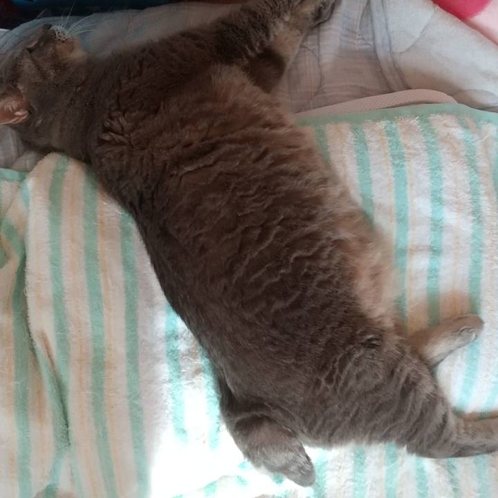 99c544d6 1051 477f bf51 a86e6b351c4b 1632875247498