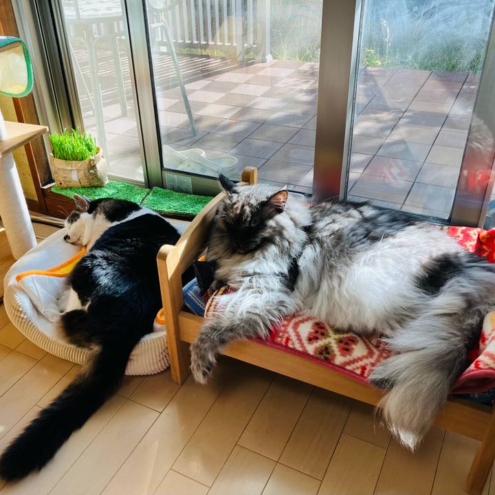 99c56764 ddb1 4642 847f 83940fe955f0 1733024431497