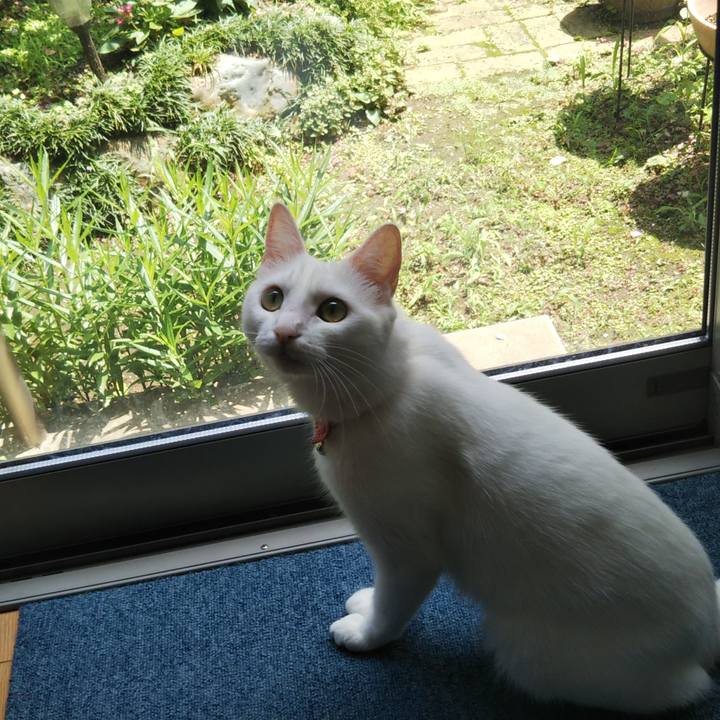 99c56ff1 d503 421d ba4c f97b6e707e2a 1627505818086