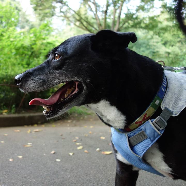 99c5d206 6f7f 47b6 b2c3 e9189e1bb31e 1723593025343