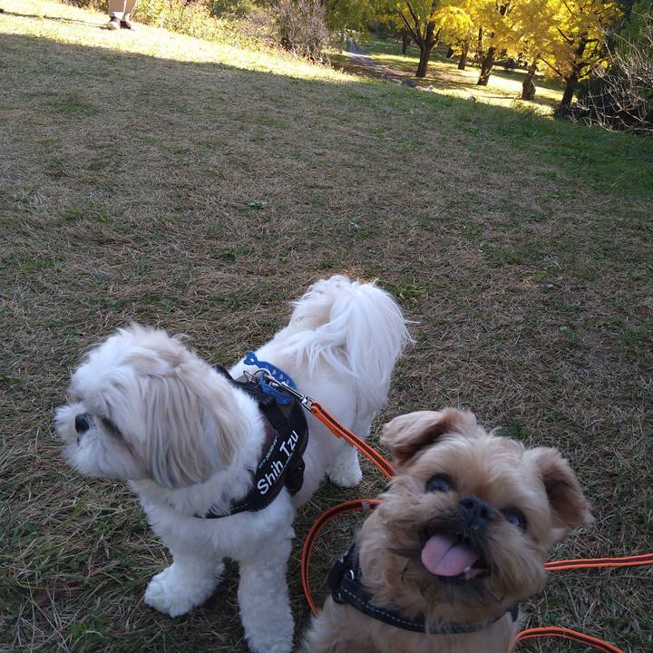 99c6050a 6ec4 4a1e 9f7a a012dde746b6 1636164887004