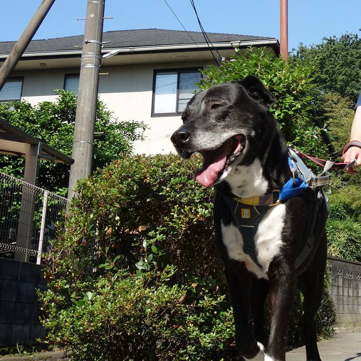 99c6408f acd8 4c68 8709 b63c4ab7b878 1749084538916