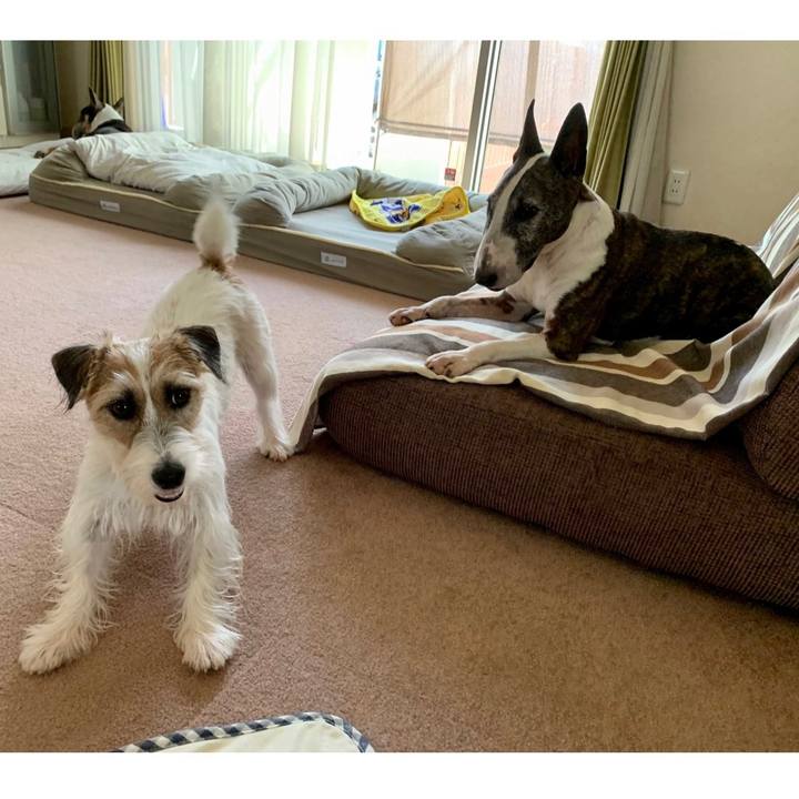 99c65dc4 e12e 493a ae7a 3f795f79072b 1628510944344