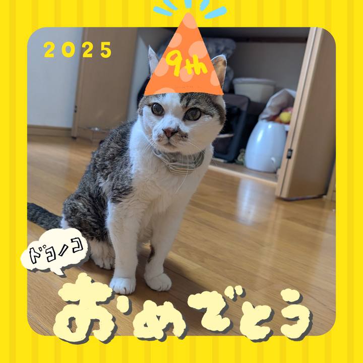 99c6769f 35f9 434d 8d8d d65192b00a90 1749153929455