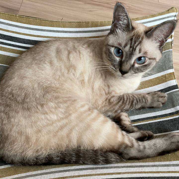 99c6a6a5 975c 4626 9d4b a510469db8b1 1595471470037