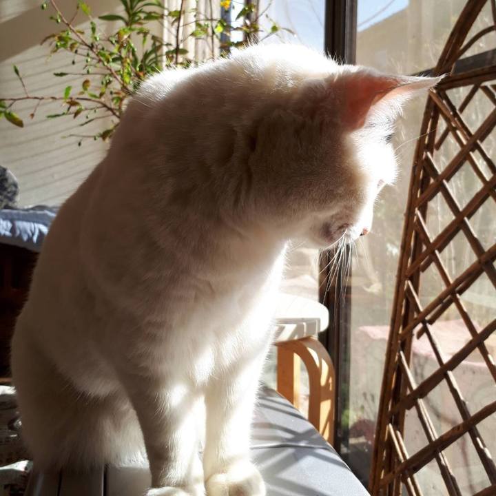 99c6c855 5cf9 46ab 9477 6aad6c5914dc 1548820012575