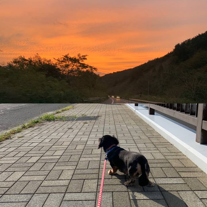 99c6fe17 9e57 4296 8ce9 63e5437e8c89 1601375367617