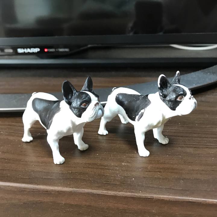 99c75b11 6647 4e19 90b7 925a54a4c517 1511675312985