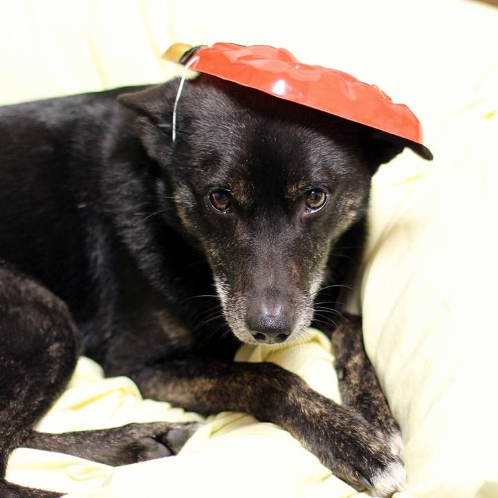 99c77f4c a509 484d 82c8 3ef374c0805a 1580780532305