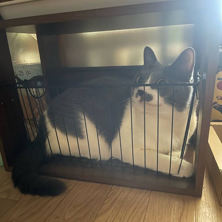 99c79468 a148 4f46 a81b 9eb7833c45a1 1751083244369