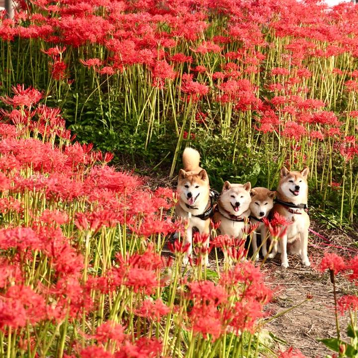 99c7973b c9ce 4732 9757 de061de7b473 1632153602835