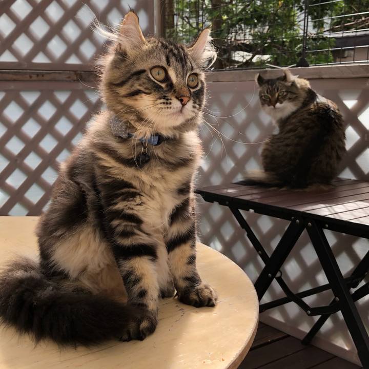 99c7dc68 a542 4d9b b5b2 8bcd65b60aa0 1559087266272