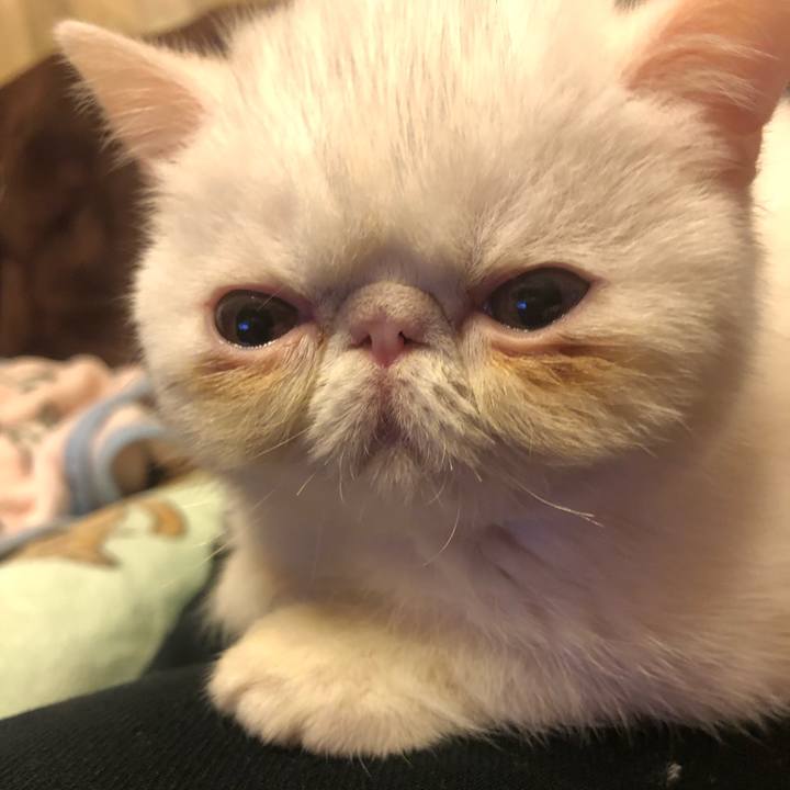 99c7eb63 350c 446c 946a 1f961c7effc3 1545633869642