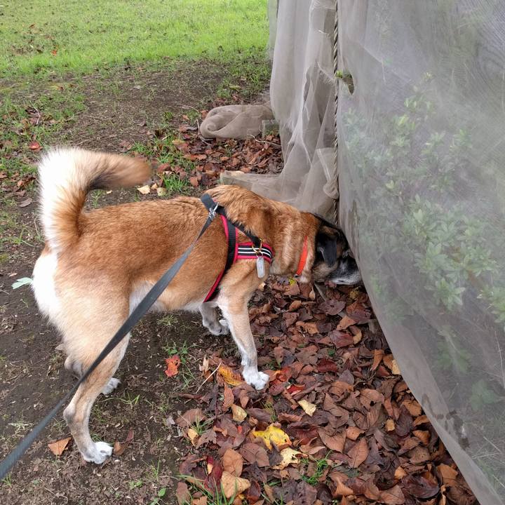 99c7f33e da17 4aea 8100 abb8312e27f3 1696378809143