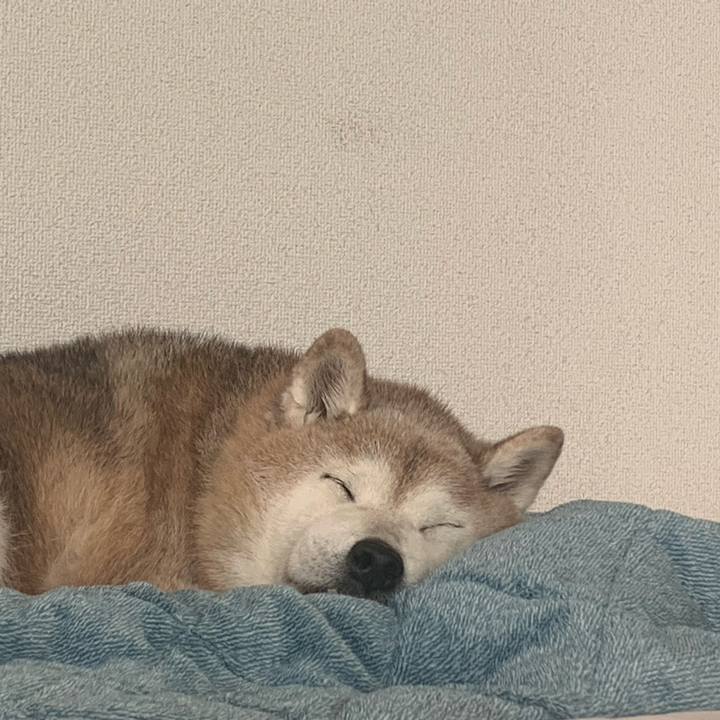 99c80a1c 7d3d 4c3d b112 b625e06a4316 1674988165734