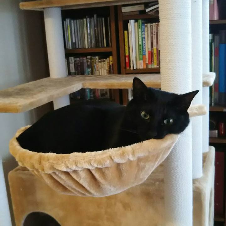 99c83766 fc52 45ac ade5 74c90585fb29 1553907323584