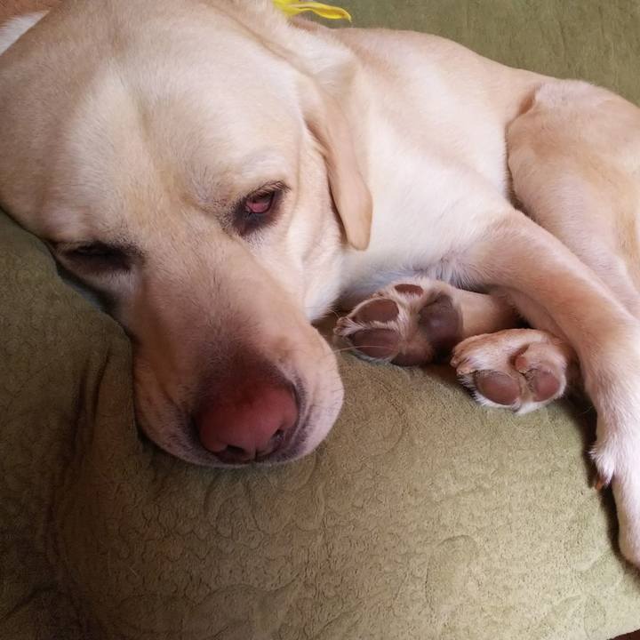 99c8475e d70a 4e02 865d 78f0459f3573 1545015450701