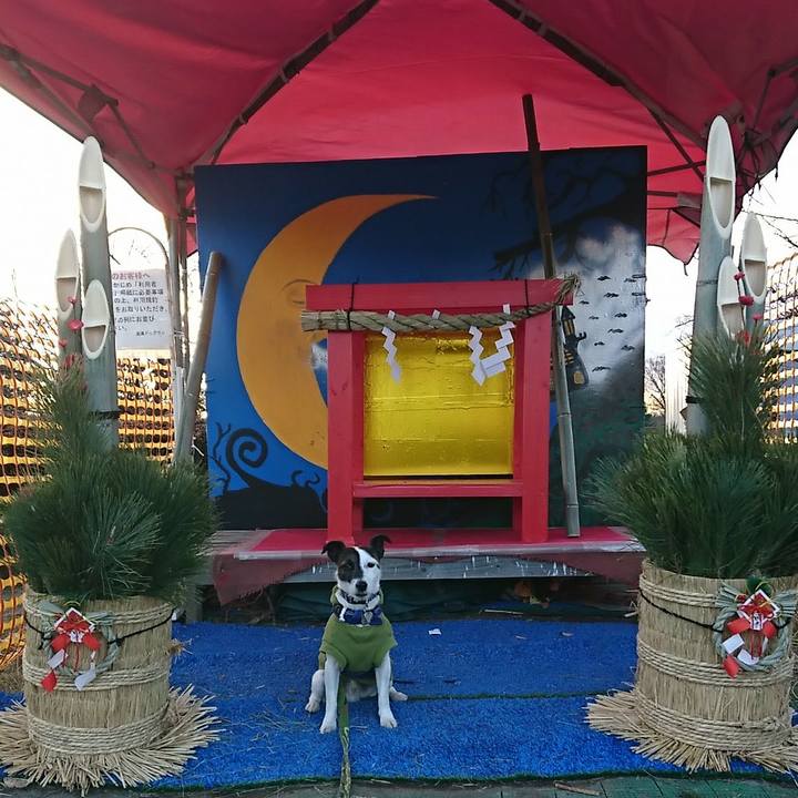 99c8b3a6 f384 4ba3 8cb6 c7301c095254 1514790140993