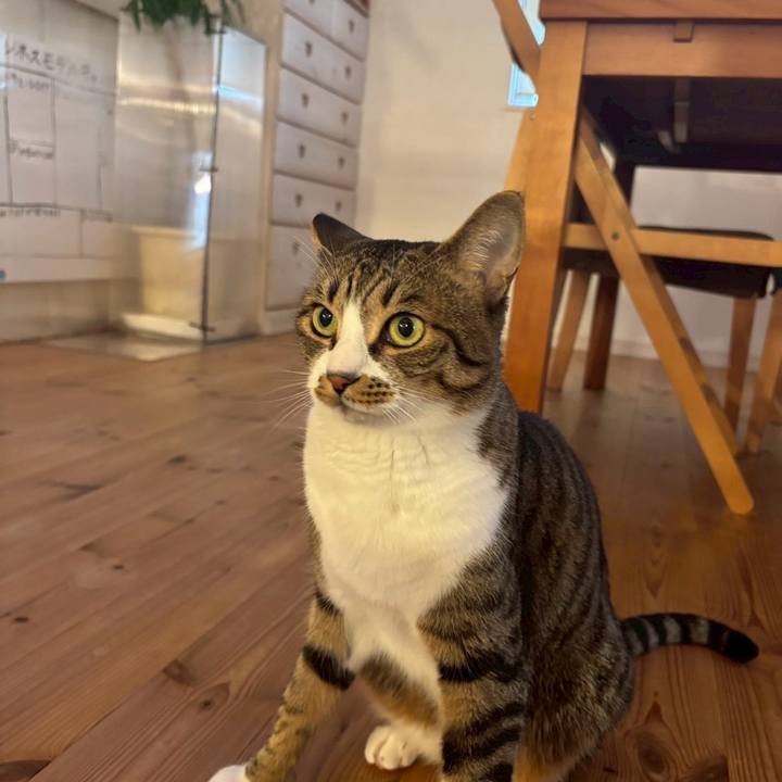 99c8bebd 4e1e 400f baed 6b6bac4c8c74 1764151114435