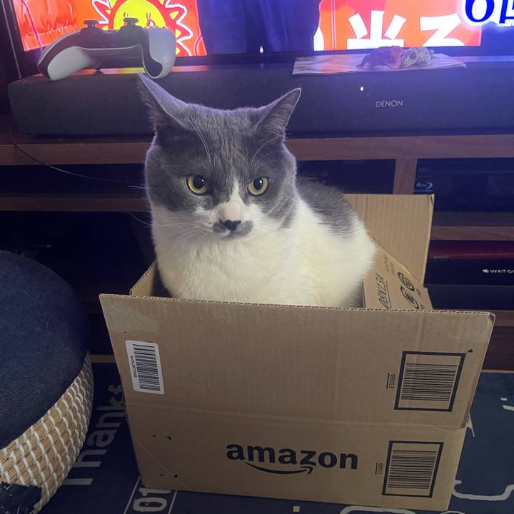 99c8c6a6 b9aa 4f61 bfa4 2bc2f776eb25 1714205880480