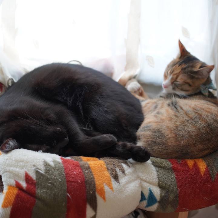 99c8c828 8a23 4d66 8337 b02b5eb3f5d3 1581863227659