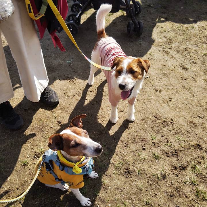 99c8d514 5ce9 4a15 b72b f5facdcc8a9b 1742650015071