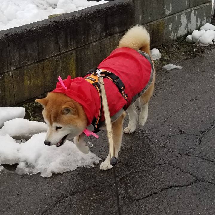 99c8ed74 281c 4252 aa17 9a4d18acc49e 1647926425169