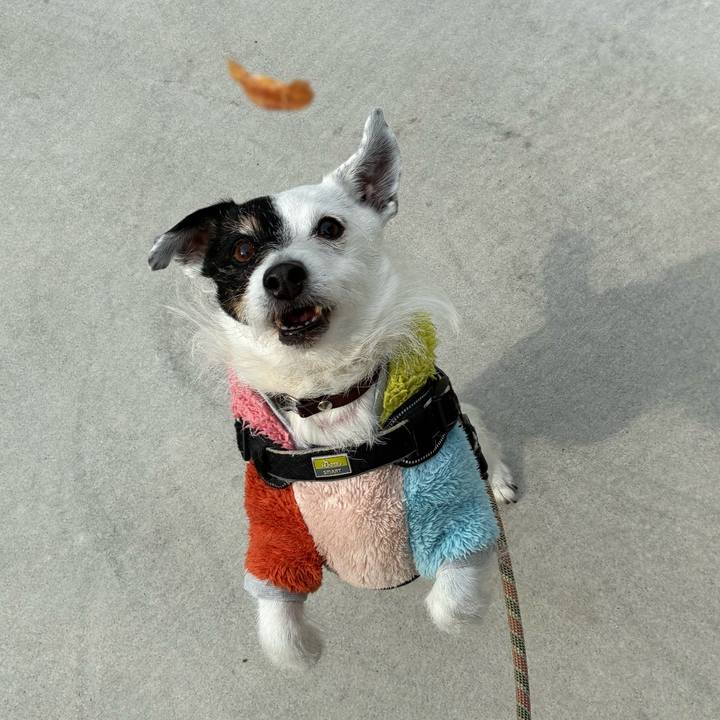 99c8f1ac 32af 4032 b97f cbe1aeb76164 1773360986425