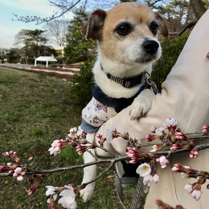 99c90e99 4488 46b1 aecc 6b74893f49bc 1647853214539