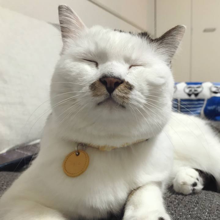 99c91f54 0ec6 45a1 becc d4c681772690 1571364566843