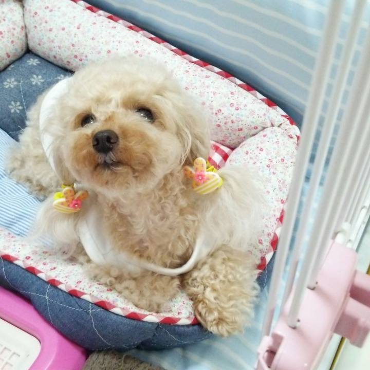 99c94b28 2a88 42aa 84c6 003843587e1a 1536370438889