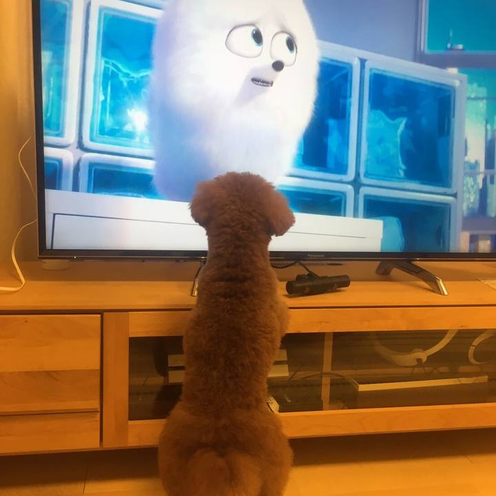 99c95d5c b9a9 4b5d 8d43 721c0a8b1ae1 1564358056501