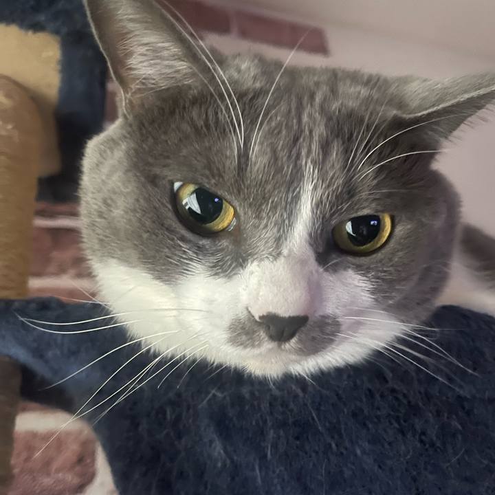 99c96bb0 8fc5 4726 a12b f35da237ac43 1733524242206