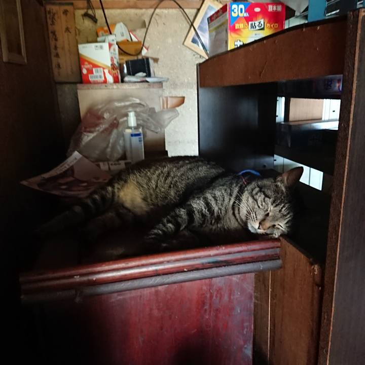 99c973d8 5ebd 4d77 b002 d733f050ba50 1658635156466