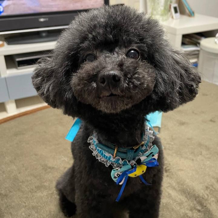 99c991f9 bbc2 47e7 9c46 864df2005aeb 1641637672848