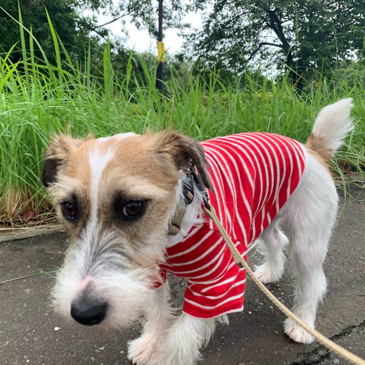 99c9c330 6131 446b ae25 d62e7d659541 1594803020828