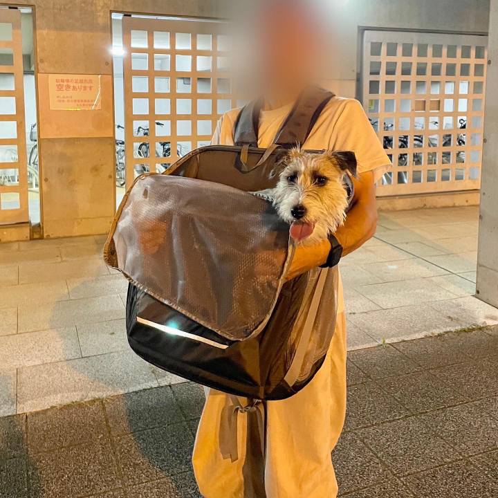 99c9dd6f 3462 4f7c bc8b ff2defbed53f 1664722919211