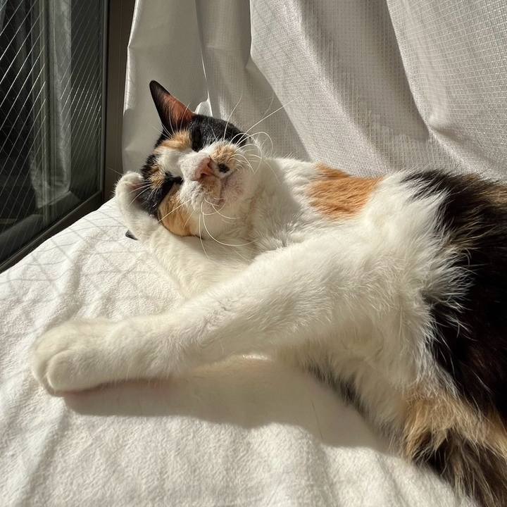 99ca654a 8f4c 428c a015 c2d69809dae1 1728880963187