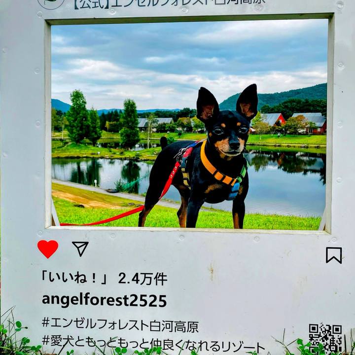 99ca8c3b a3d4 4d1a 84e4 e3b05e761d78 1728135533406