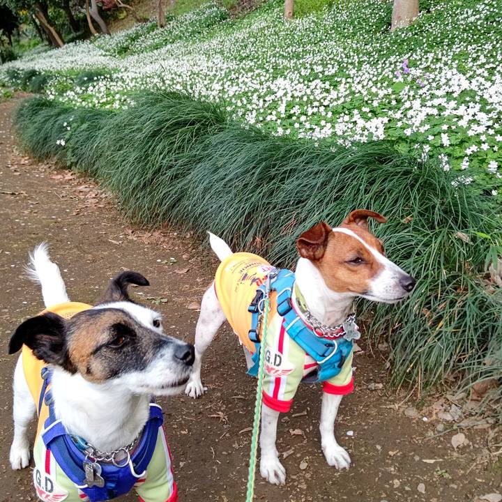 99ca9125 ff48 4b7f b47b eb0aa896d582 1617261514134