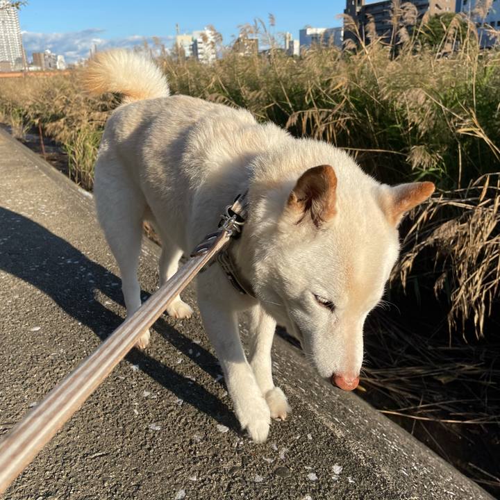 99ca9b3e 02c7 434b 9679 fa04faf3176b 1635245234814