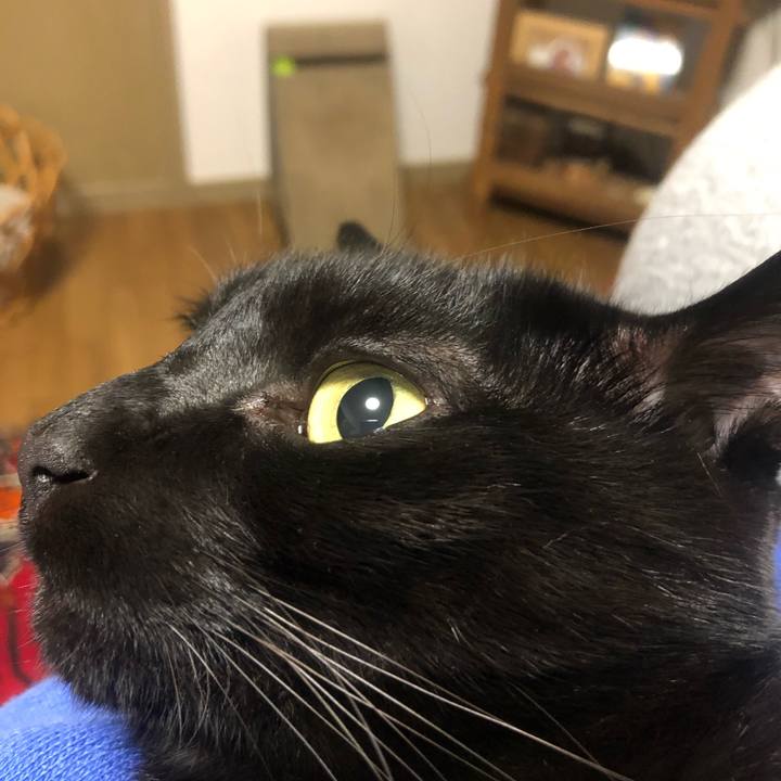 99caa3a5 077e 46f3 af98 c6846e4651ea 1668868898350