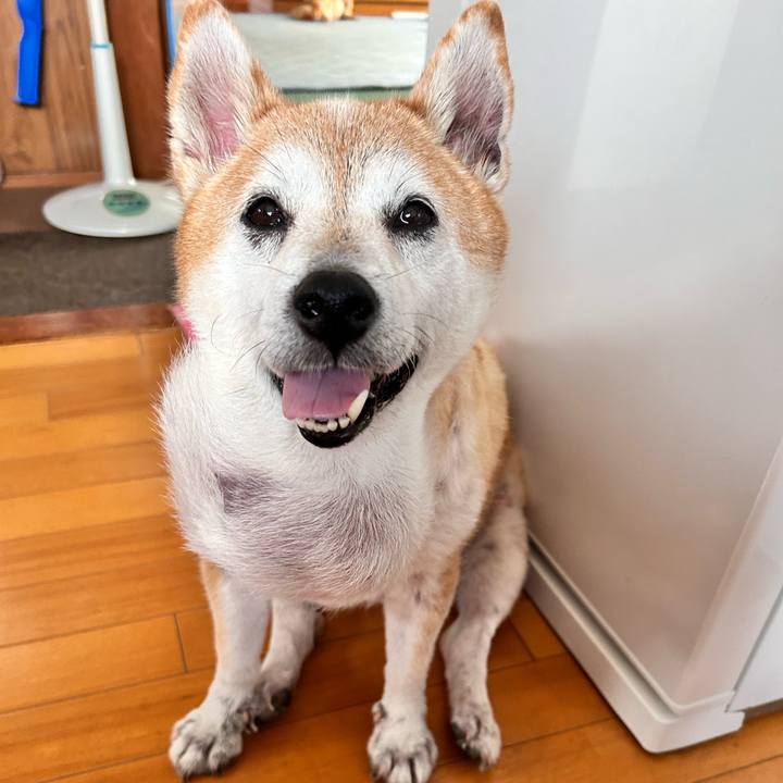 99cab3d8 f980 4cef 90e8 c535e0782495 1759727812701