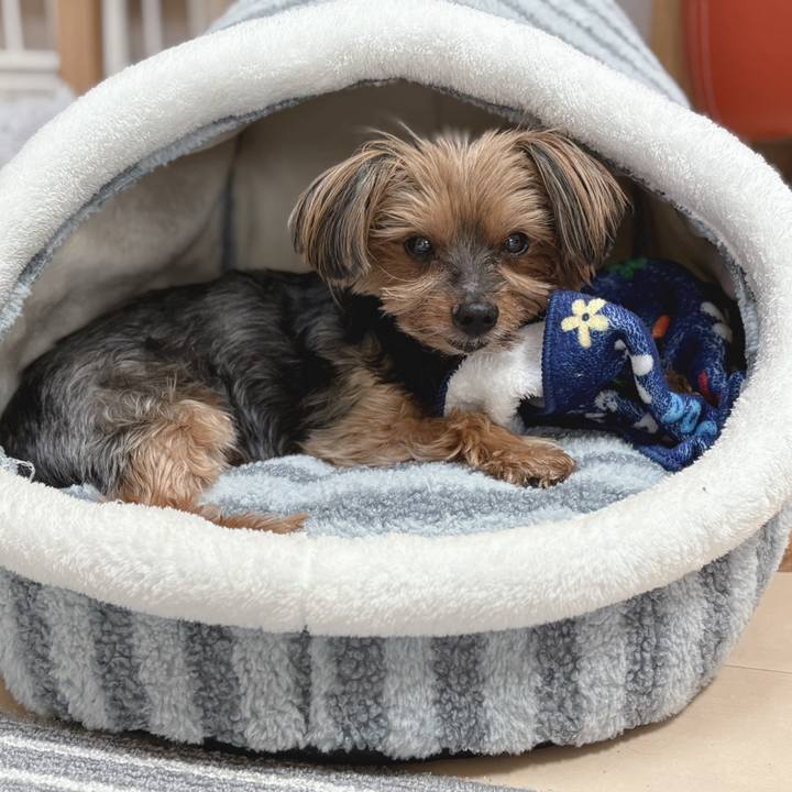 99cac28b a7a3 4084 960d c75ca448d691 1747530884407