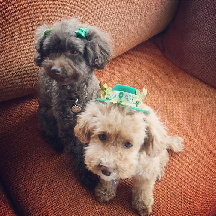 99cad3d6 f8a1 4652 95b2 90f6e1d76929 1521287703118